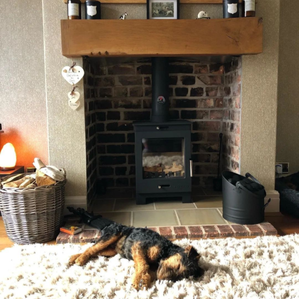 Portway Arundel Wood Burning / Multifuel Ecodesign Stove - Image 6