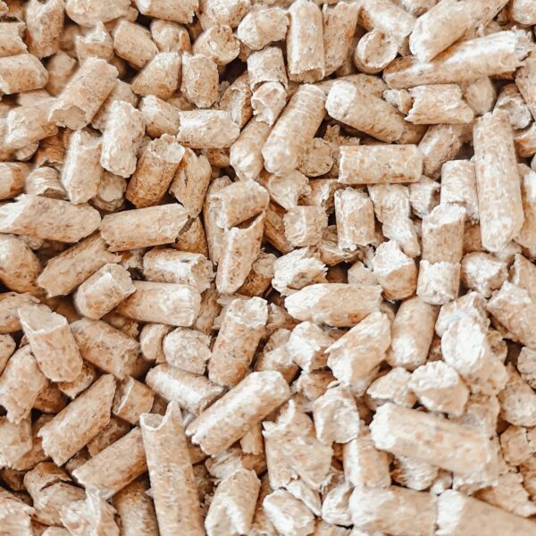 Ecoblaze - Image 4
