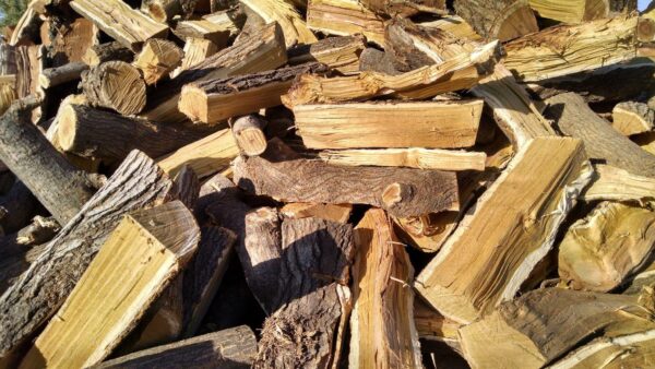 Mulberry Logs 1/3 cord