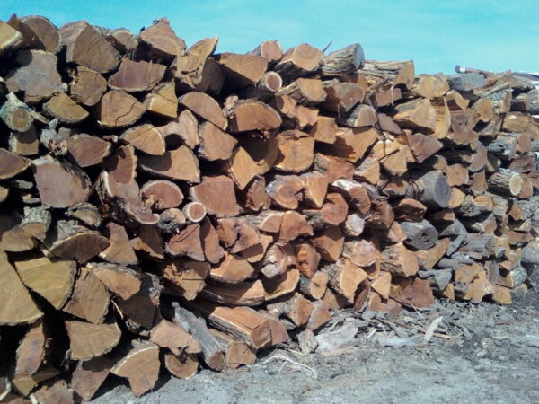 Hedge (Osage Orange) Firewood 1/3 cord - Image 2